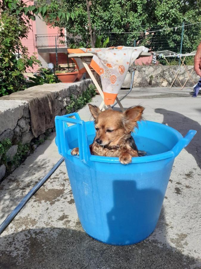 Casa Vacanza Zia Ersilia Rotondi Eksteriør bilde