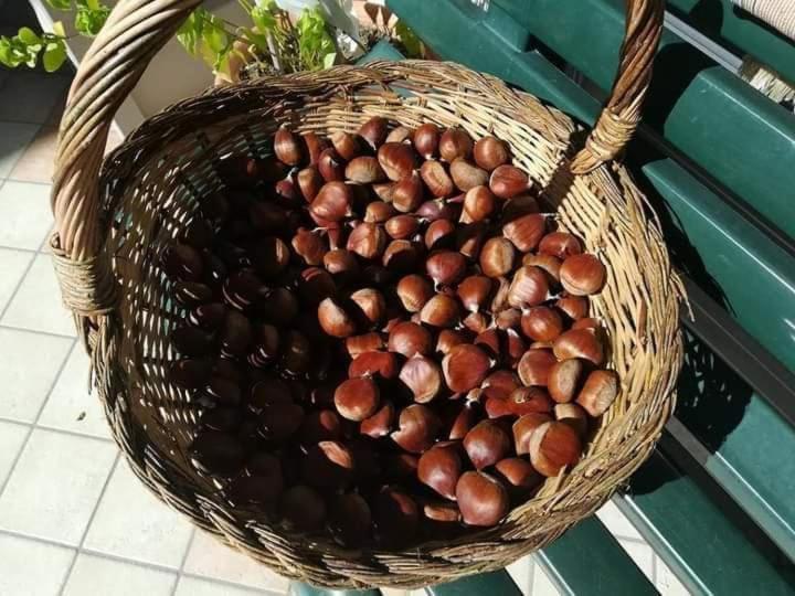 Casa Vacanza Zia Ersilia Rotondi Eksteriør bilde